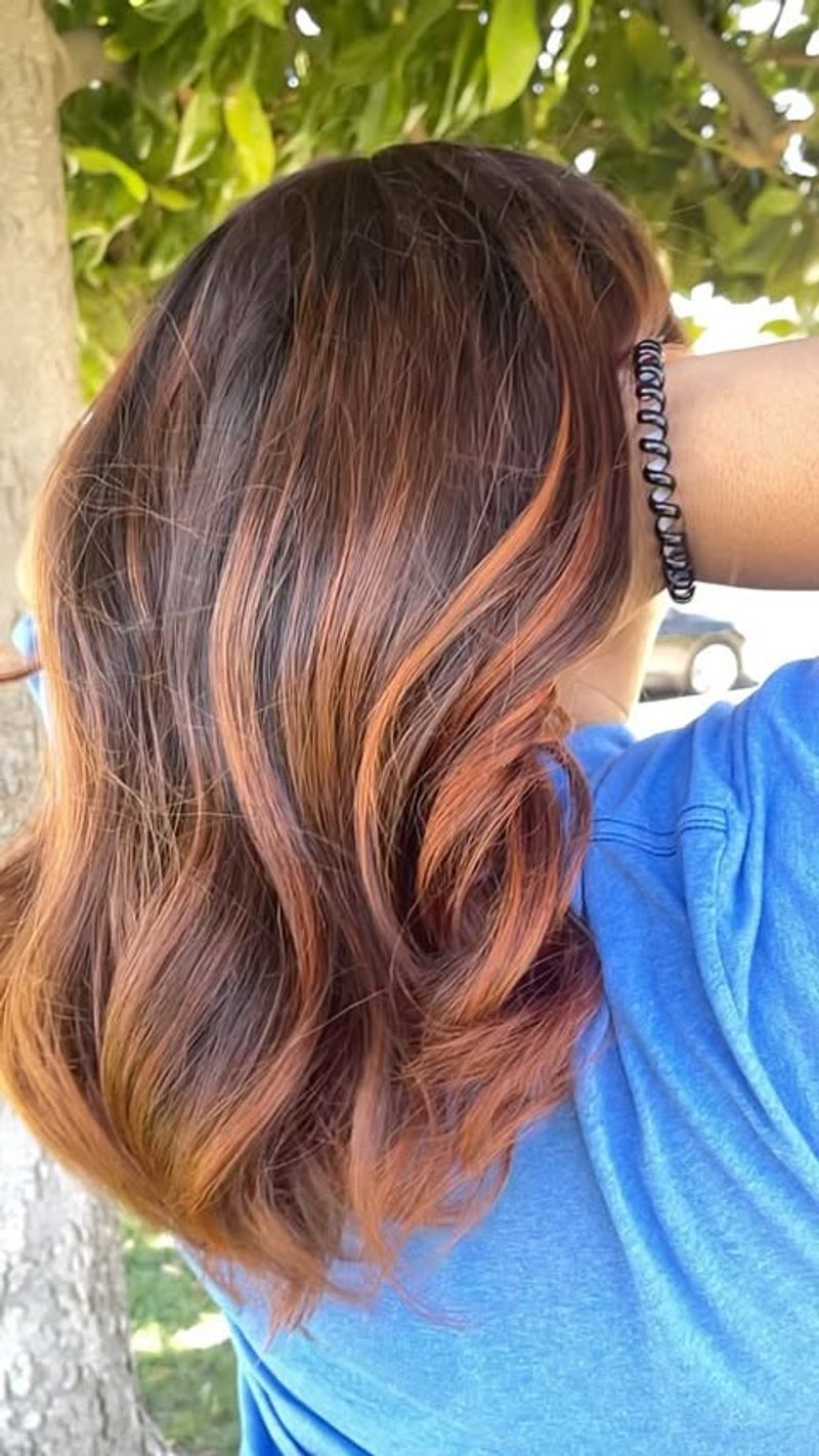 Copper Highlights on Brunette